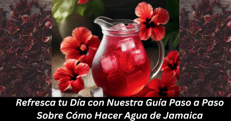 Refresca tu Día con Nuestra Guía Paso a Paso Sobre Cómo Hacer Agua de Jamaica