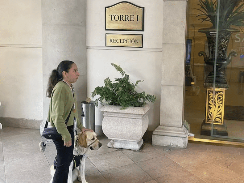 Una joven acusa al hotel Safi de negarle la entrada con su perro guía, desatando indignación y llamados urgentes a capacitar al personal en inclusión y derechos.